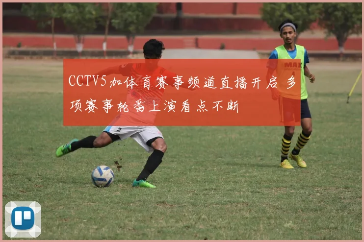 CCTV5加体育赛事频道直播开启 多项赛事轮番上演看点不断