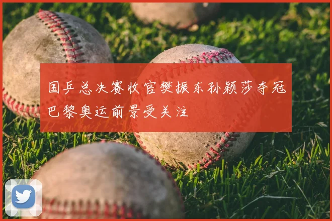 国乒总决赛收官樊振东孙颖莎夺冠巴黎奥运前景受关注
